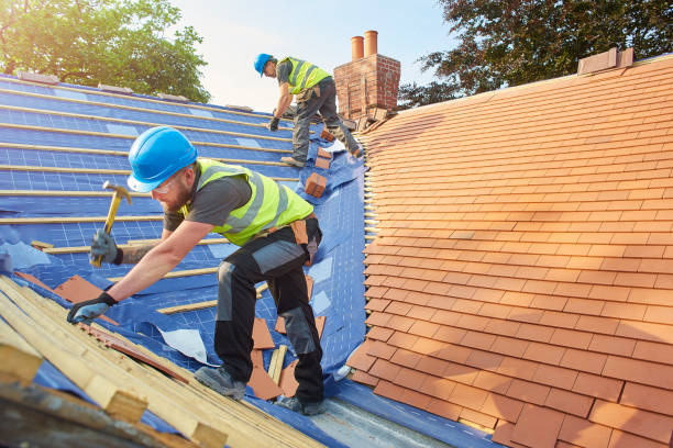 Best Solar Panel Roofing Installation  in De Soto, MO